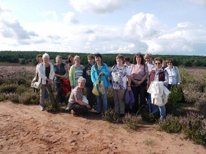 Ausflug in die Mehlinger Heide